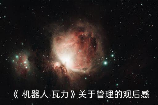 《 機器人 瓦力》關(guān)于管理的觀后感