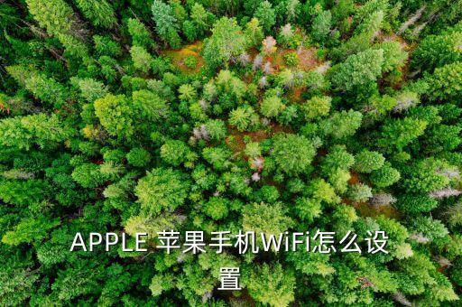 APPLE 蘋果手機WiFi怎么設(shè)置