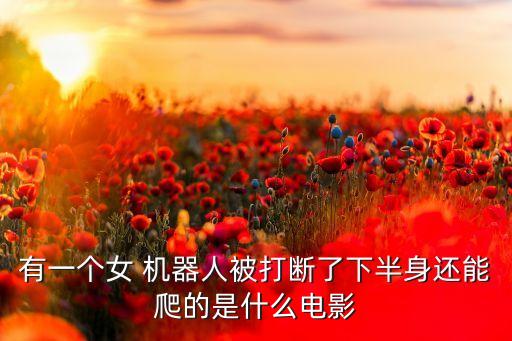 有一個(gè)女 機(jī)器人被打斷了下半身還能爬的是什么電影