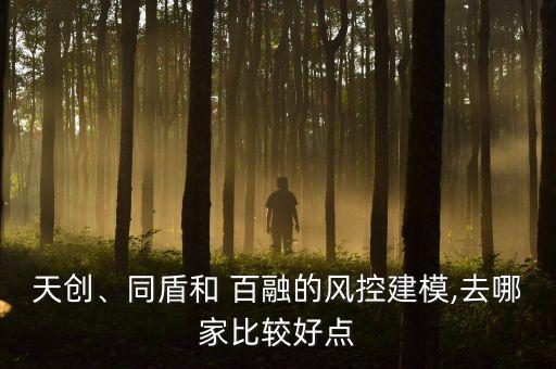 天創(chuàng)、同盾和 百融的風(fēng)控建模,去哪家比較好點