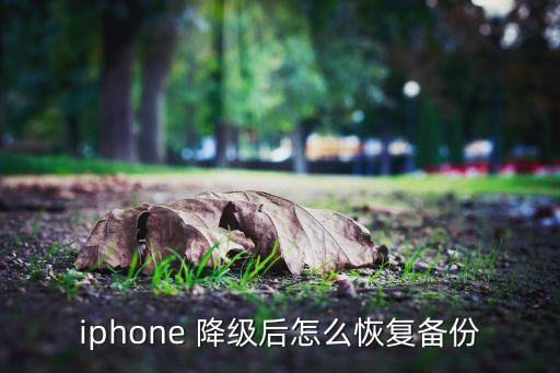 蘋果降級(jí)數(shù)據(jù)還有嗎,蘋果手機(jī)降級(jí)數(shù)據(jù)會(huì)丟失嗎