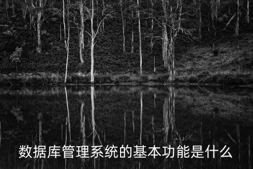 數(shù)據(jù)庫管理系統(tǒng)的基本功能是什么