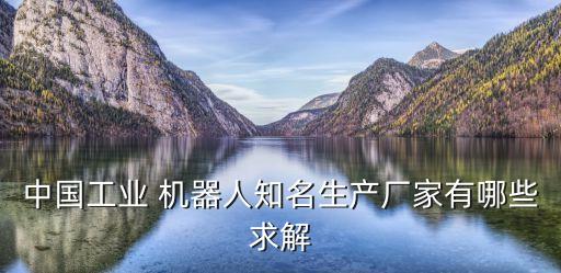 中國(guó)工業(yè) 機(jī)器人知名生產(chǎn)廠家有哪些求解