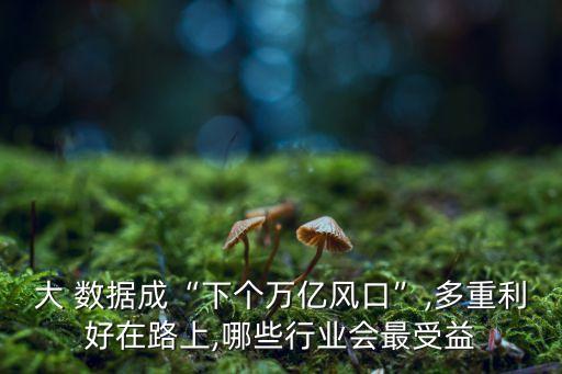 大 數(shù)據(jù)成“下個(gè)萬(wàn)億風(fēng)口”,多重利好在路上,哪些行業(yè)會(huì)最受益