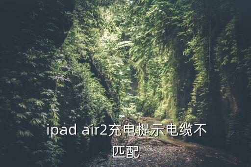 ipad air2原裝數(shù)據(jù)線