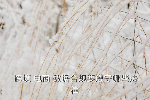  跨境 電商 數(shù)據(jù)合規(guī)要遵守哪些法律