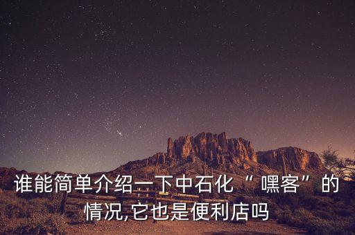 誰能簡單介紹一下中石化“ 嘿客”的情況,它也是便利店嗎