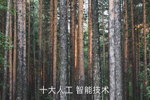 diy智能機器人芯片,智能機器人DIY制作