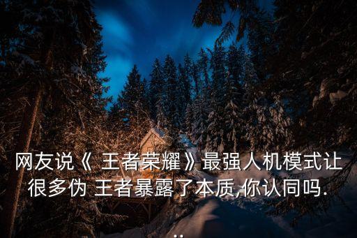 王者驗(yàn)證機(jī)器人是,王者機(jī)器人不能播放歌曲