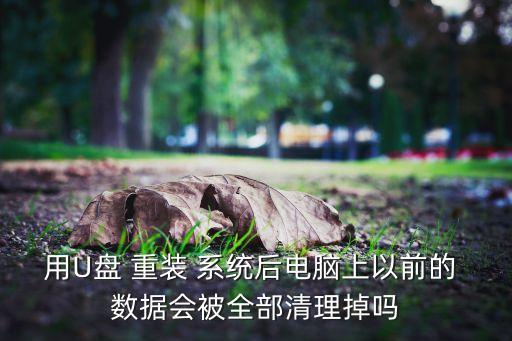 用U盤 重裝 系統(tǒng)后電腦上以前的 數(shù)據(jù)會被全部清理掉嗎