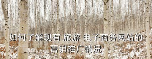2014旅游電子商務(wù)數(shù)據(jù)分析