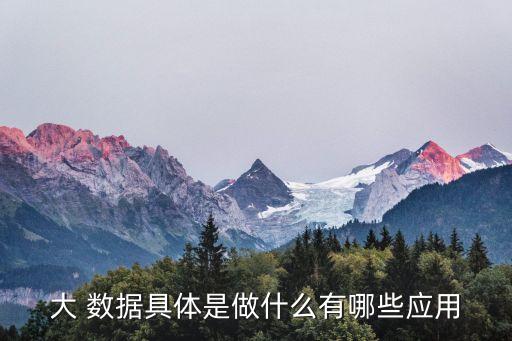 大 數(shù)據(jù)具體是做什么有哪些應(yīng)用