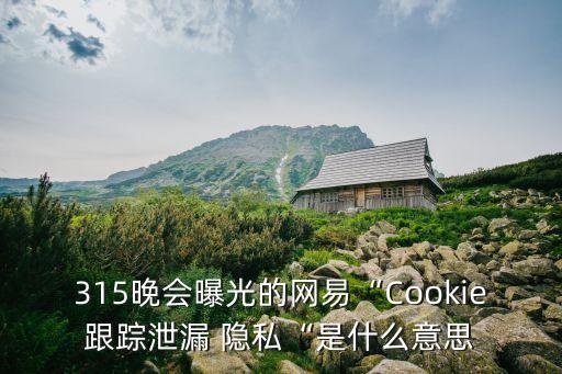 315晚會曝光的網易“Cookie跟蹤泄漏 隱私“是什么意思