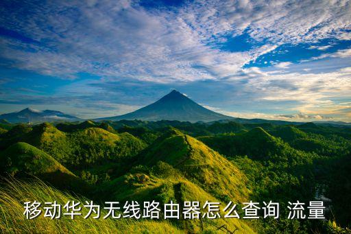 寬帶流量統(tǒng)計(jì)數(shù)據(jù),iphone怎么清除流量統(tǒng)計(jì)數(shù)據(jù)