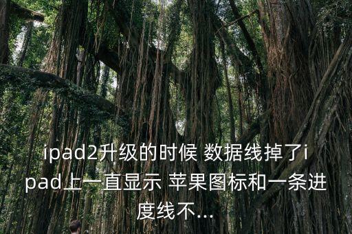ipad2升級的時候 數(shù)據(jù)線掉了ipad上一直顯示 蘋果圖標(biāo)和一條進度線不...