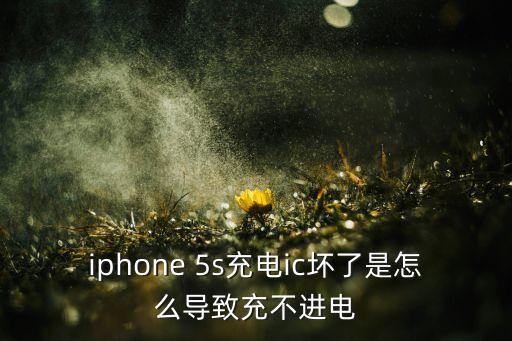 5s非原裝數(shù)據(jù)線充電器,5s原裝充電器多少錢