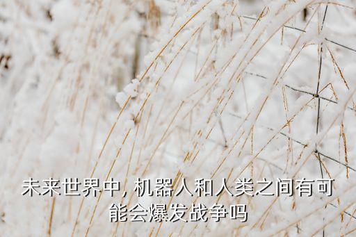 未來世界中, 機(jī)器人和人類之間有可能會爆發(fā)戰(zhàn)爭嗎