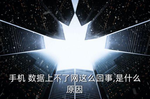 10.0.2數(shù)據(jù)沒網(wǎng)絡bug