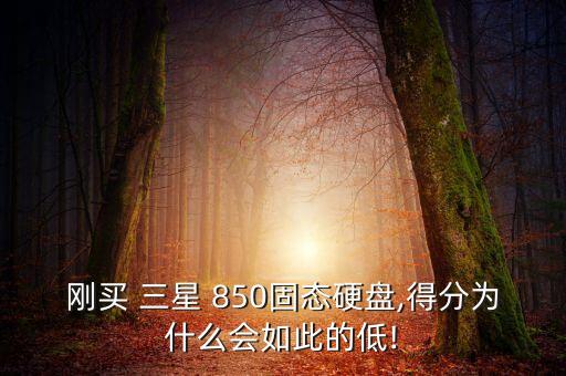 剛買 三星 850固態(tài)硬盤,得分為什么會(huì)如此的低!