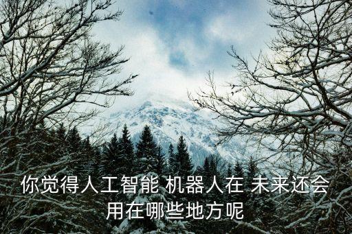 你覺得人工智能 機(jī)器人在 未來還會(huì)用在哪些地方呢