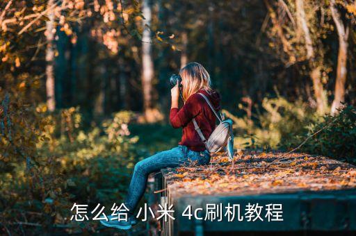 小米4c數(shù)據(jù)線連接電腦