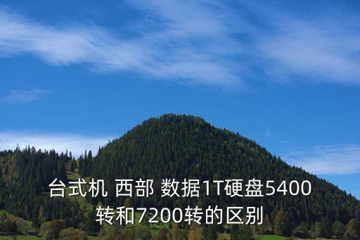 西部數(shù)據(jù) 1t