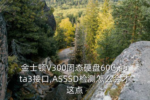 金士頓V300固態(tài)硬盤60G,sata3接口,ASSSD檢測怎么會才這點