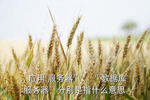 ...應(yīng)用 服務(wù)器”、“ 數(shù)據(jù)庫(kù) 服務(wù)器”分別是指什么意思