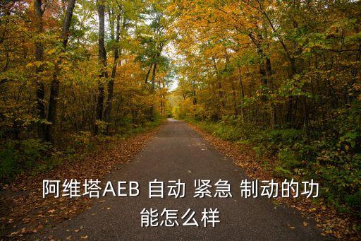 阿維塔AEB 自動 緊急 制動的功能怎么樣