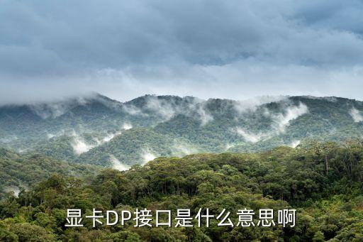 顯卡DP接口是什么意思啊