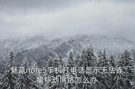 魅族5移動數(shù)據(jù)點不開怎么辦