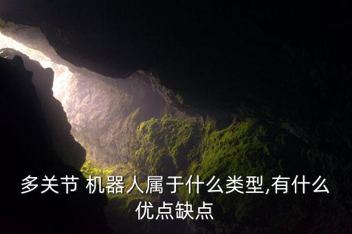 多關(guān)節(jié) 機器人屬于什么類型,有什么優(yōu)點缺點