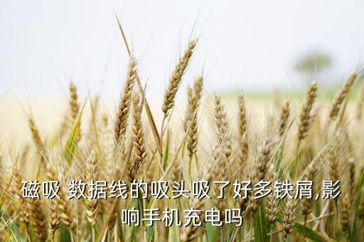 磁性數(shù)據(jù)線 危害,磁性對寶寶的危害