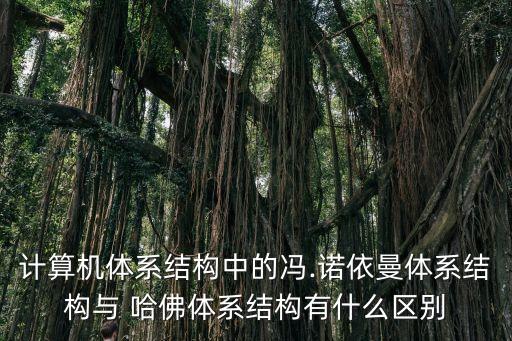 哈佛 數(shù)據(jù)存儲(chǔ)于dna,哈佛體系處理器的數(shù)據(jù)存儲(chǔ)
