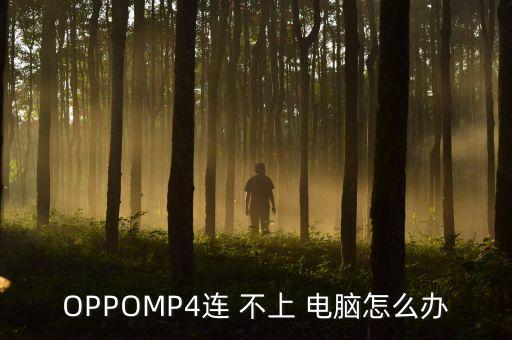 oppo數(shù)據(jù)線連接不上電腦
