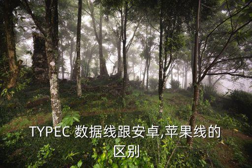 TYPEC 數(shù)據(jù)線跟安卓,蘋果線的區(qū)別