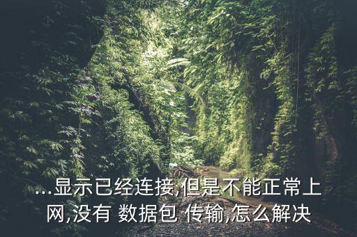 ...顯示已經(jīng)連接,但是不能正常上網(wǎng),沒有 數(shù)據(jù)包 傳輸,怎么解決