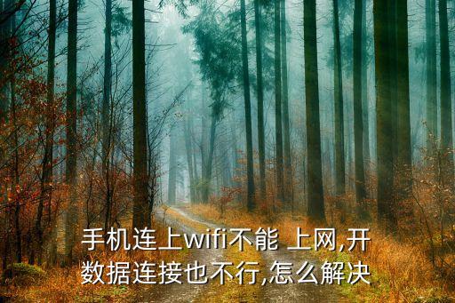  手機(jī)連上wifi不能 上網(wǎng),開(kāi) 數(shù)據(jù)連接也不行,怎么解決