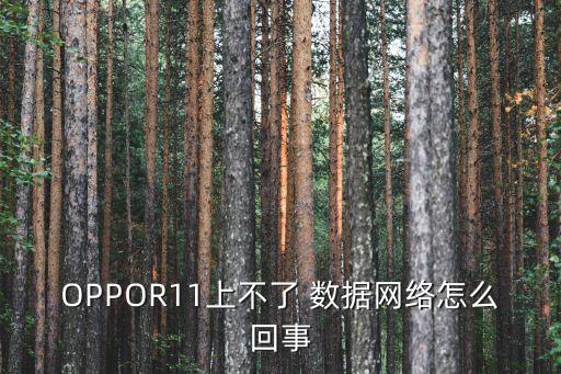 OPPOR11上不了 數(shù)據(jù)網(wǎng)絡(luò)怎么回事