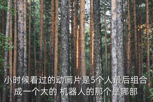 小時候看過的動畫片是5個人最后組合成一個大的 機器人的那個是哪部