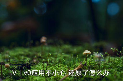 Vⅰv0應(yīng)用不小心 還原了怎么辦
