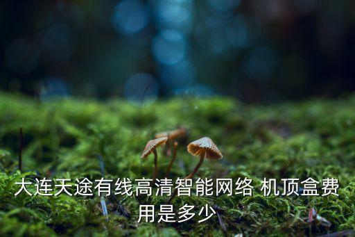 有線電視機(jī)頂盒 數(shù)據(jù)線 多少錢