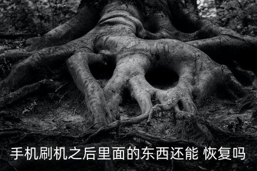 刷機(jī)后沒有移動(dòng)數(shù)據(jù)恢復(fù)