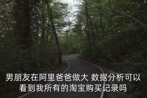 男朋友在阿里爸爸做大 數(shù)據(jù)分析可以看到我所有的淘寶購買記錄嗎