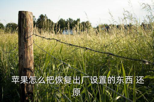 蘋果手機(jī)還原之前數(shù)據(jù),蘋果還原手機(jī)會怎么樣