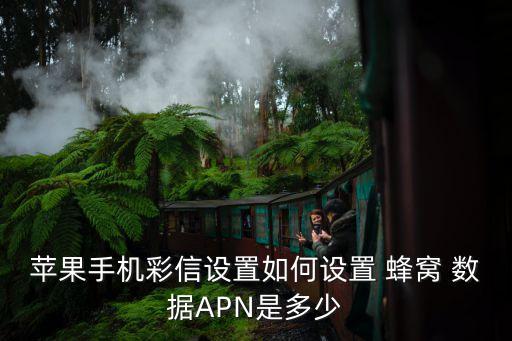 蜂窩數(shù)據(jù)apn在哪