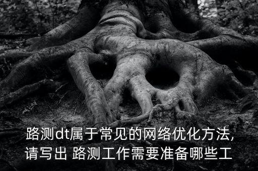  路測dt屬于常見的網(wǎng)絡(luò)優(yōu)化方法,請寫出 路測工作需要準(zhǔn)備哪些工