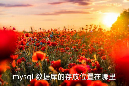 mysql 數(shù)據(jù)庫的存放位置在哪里