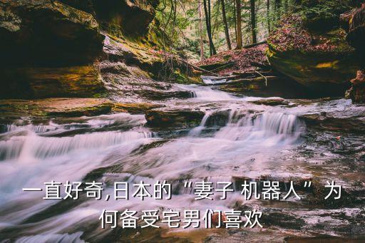 一直好奇,日本的“妻子 機(jī)器人”為何備受宅男們喜歡