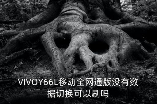 VIVOY66L移動(dòng)全網(wǎng)通版沒有數(shù)據(jù)切換可以刷嗎